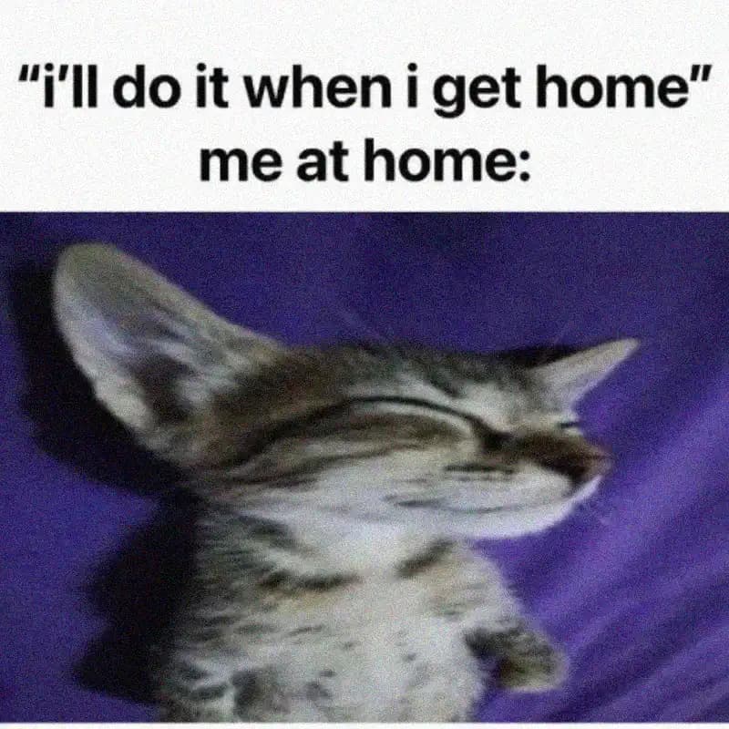 Meme of a kitten sleeping peacefully on its back, text: I'll do it when I get home, meanwhile me at home.