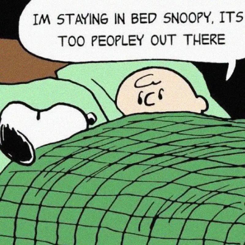 Snoopy and Charlie Brown lying in bed meme, text: I'm staying in bed Snoopy, its too peopley out there.